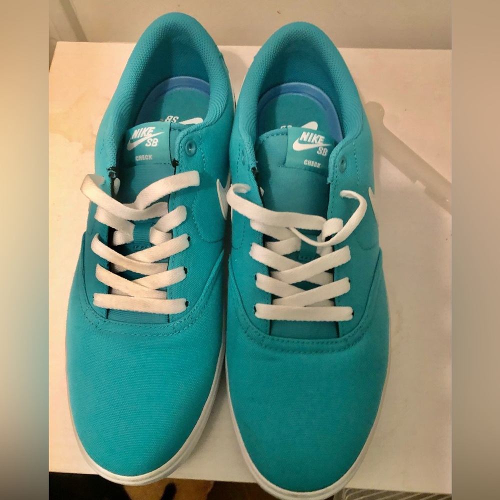 Mens Nike SB shoe